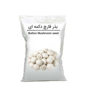 بذر قارچ دکمه ای