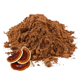 پودر قارچ گانودرما